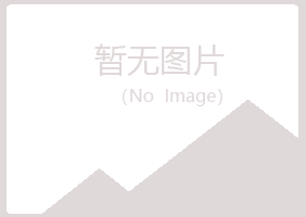 偃师白晴化学有限公司